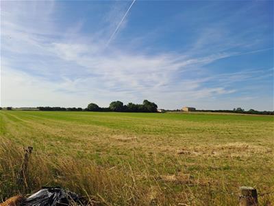 Click to view more details